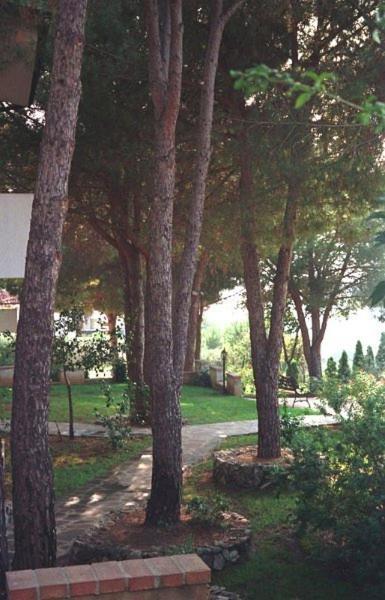 Villaggio Pineta Petto Bianco Capo Vaticano Exteriér fotografie