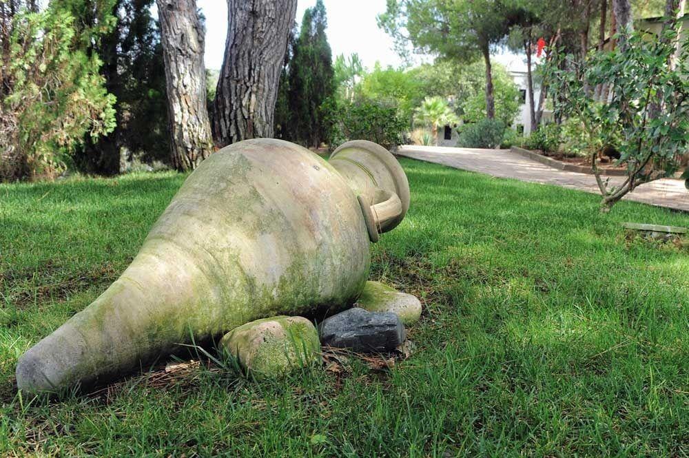 Villaggio Pineta Petto Bianco Capo Vaticano Exteriér fotografie