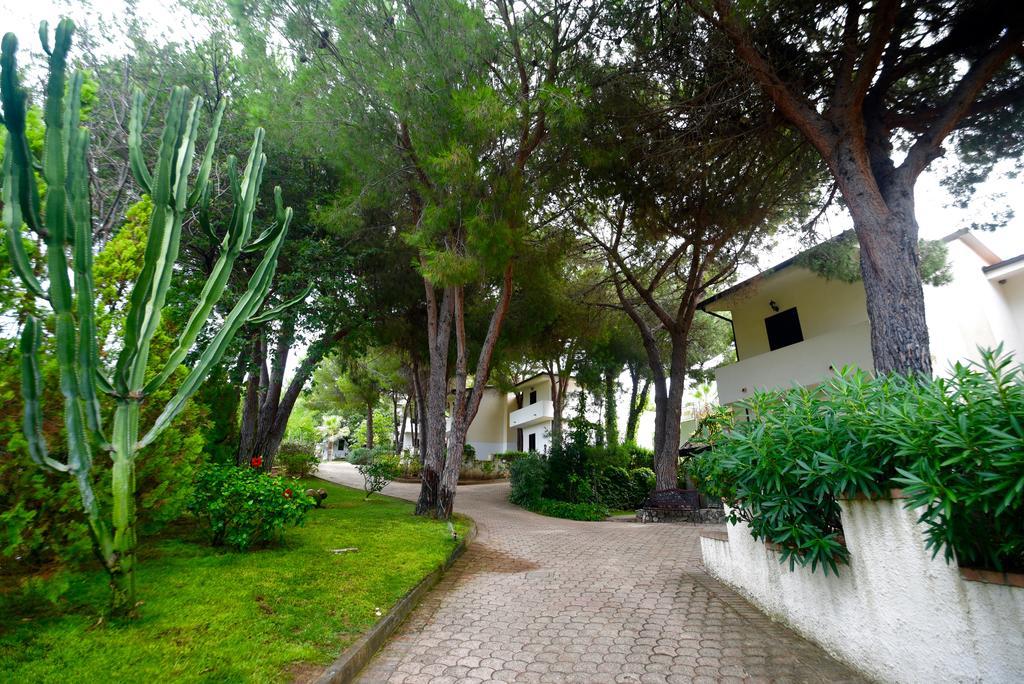 Villaggio Pineta Petto Bianco Capo Vaticano Exteriér fotografie