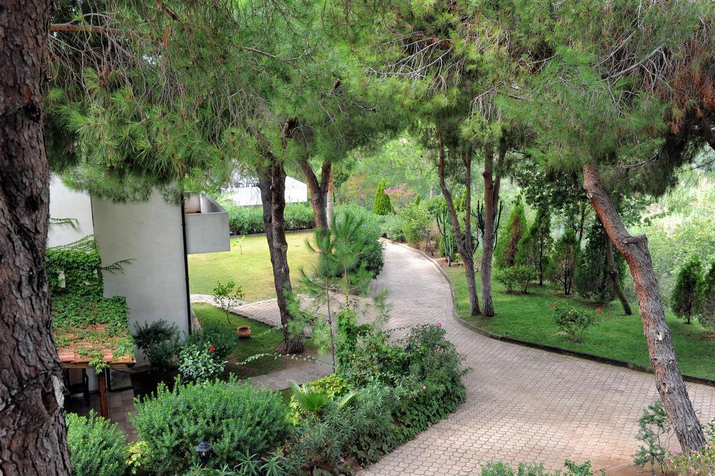 Villaggio Pineta Petto Bianco Capo Vaticano Exteriér fotografie